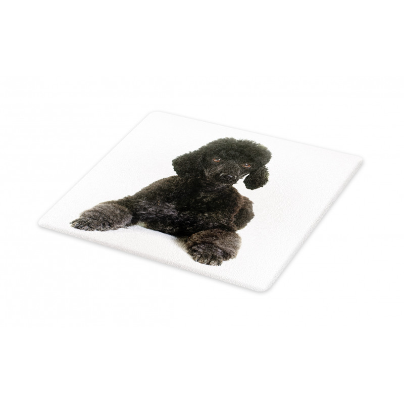 Fluffy Purebred Animal Love Cutting Board