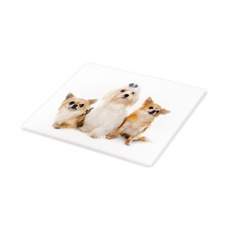 Chihuahua and Maltese Dogs Cutting Board