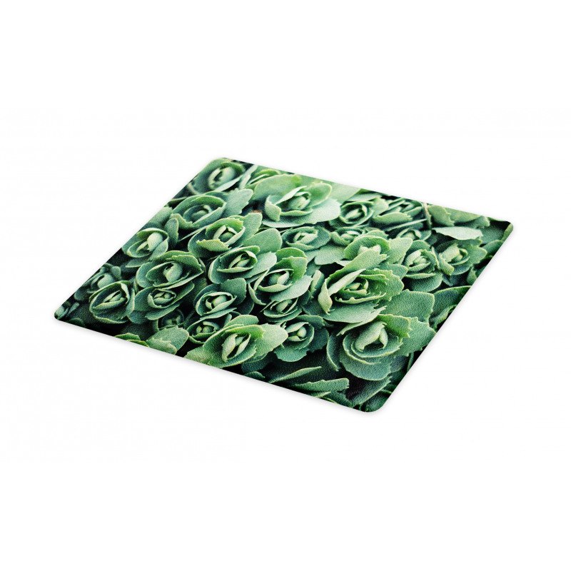 Macro Blooming Leaves Cutting Board