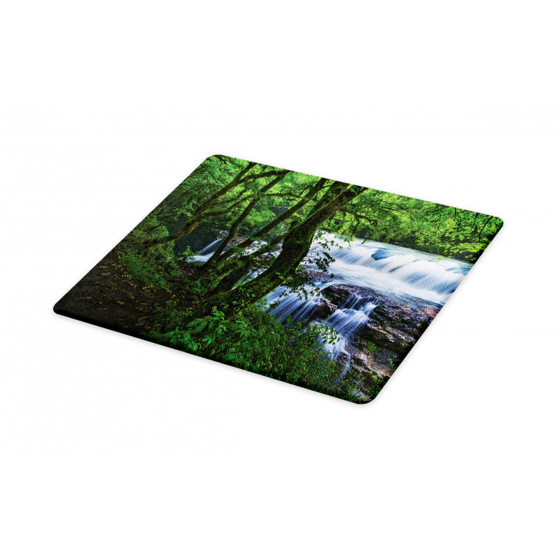 Canyon Woods Scene Cutting Board