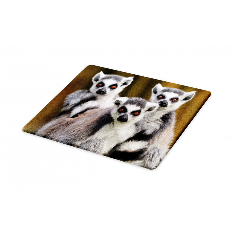 Ring Tailed Monkey Animals Cutting Board