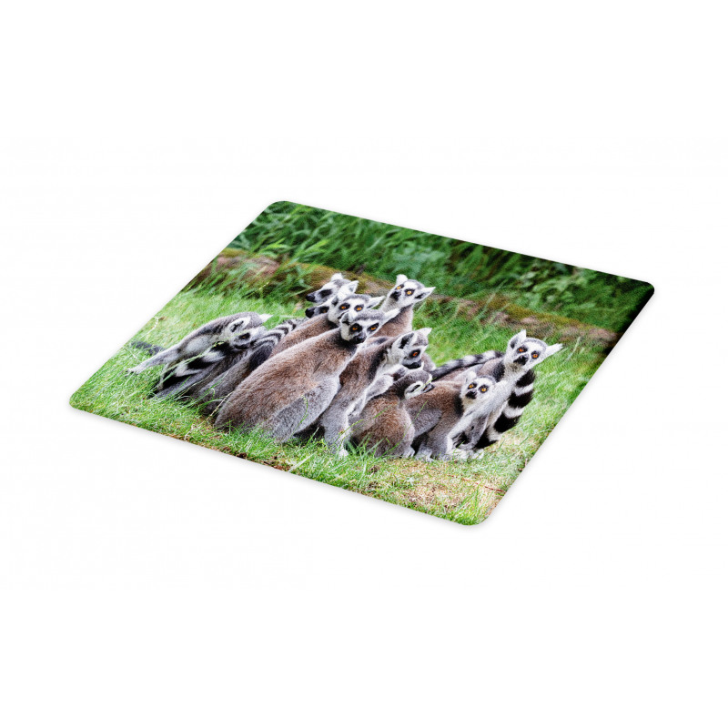 Ring Tailed Madagascar Monkey Cutting Board