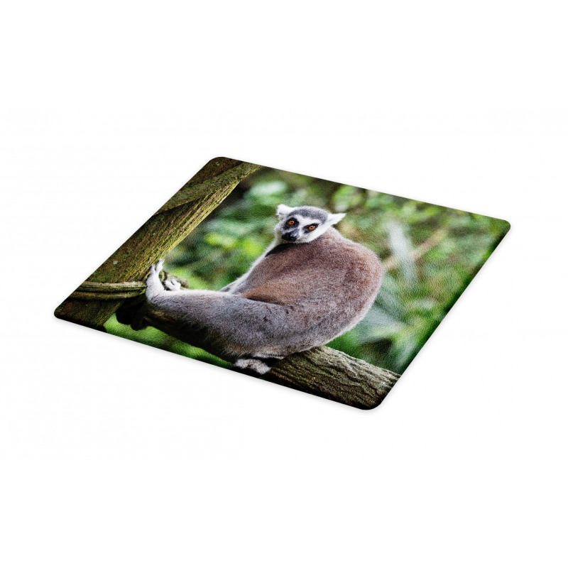 Photo of Madagascar Mammal Cutting Board