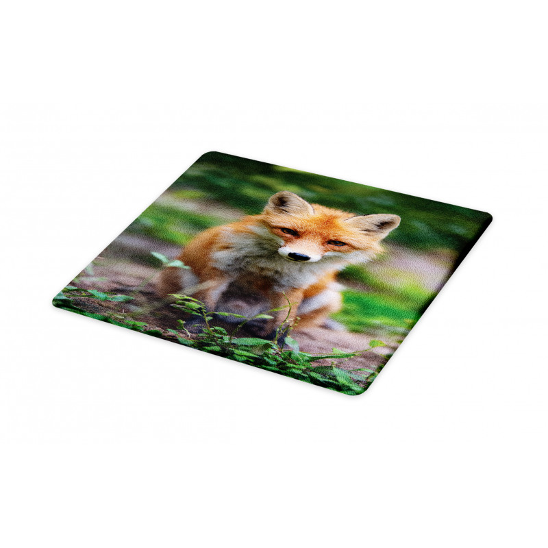 Young Coyote Photo Cutting Board