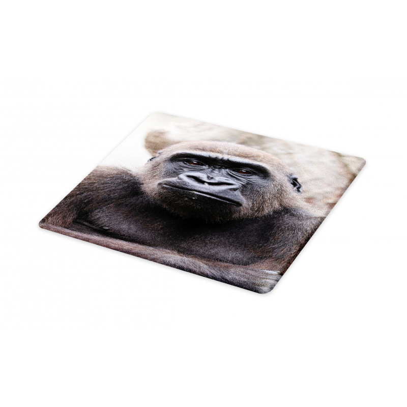 Close up Young Male Gorilla Cutting Board