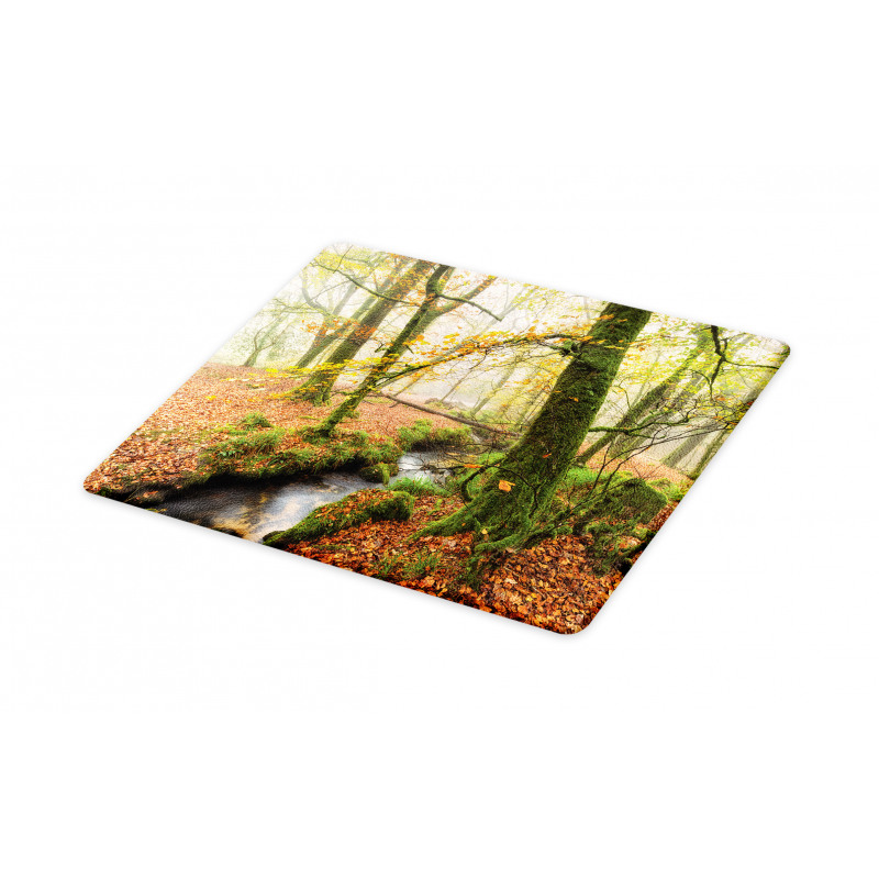 Misty Woods Cornwall Cutting Board