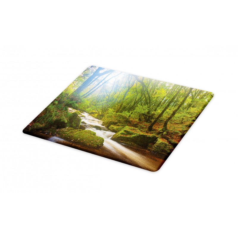 Forest at Golitha Falls Cutting Board