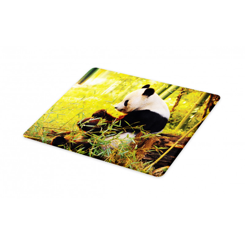 Panda Sitting in Forest Cutting Board