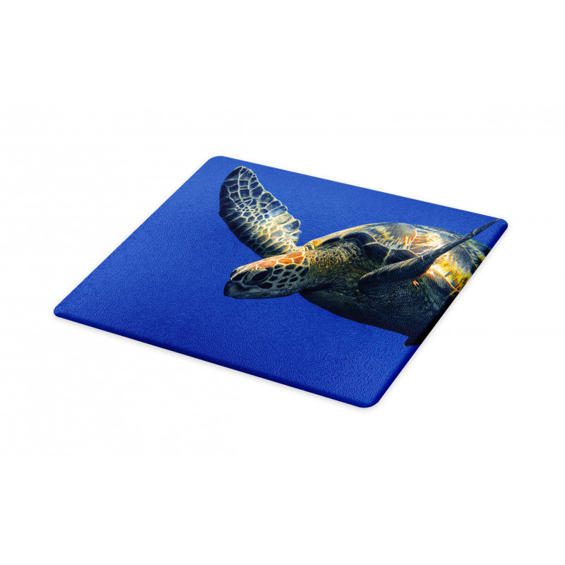 Sea Animal Swimming Cutting Board