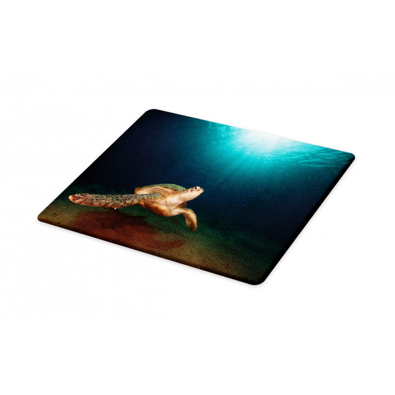 Green Turtle Sunbeam Cutting Board