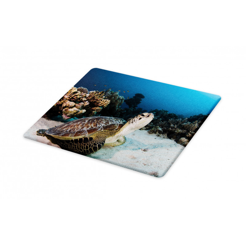 Turtle Coral Reef Cutting Board