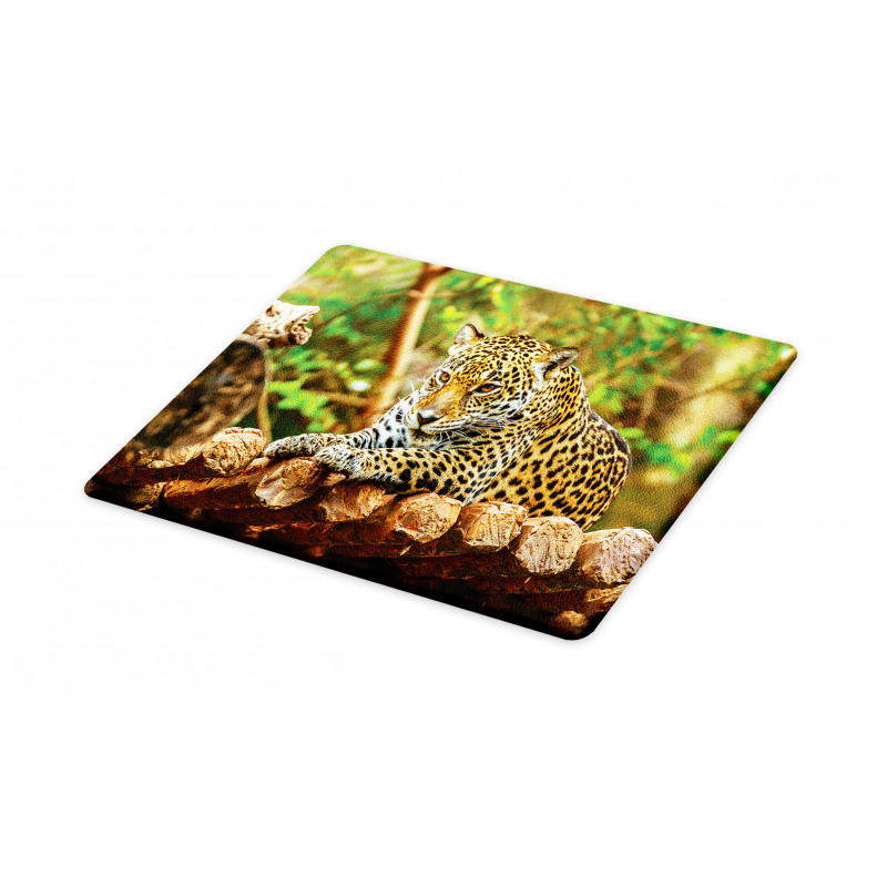 Jaguar on Wood Wild Feline Cutting Board