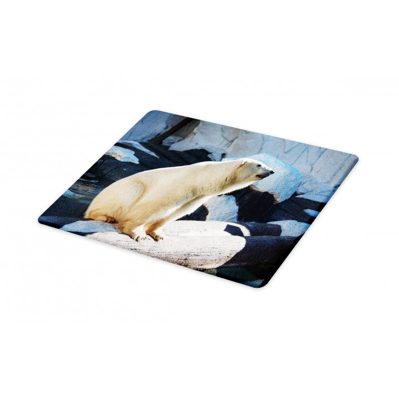 Polar Bear in Park Rocks Cutting Board