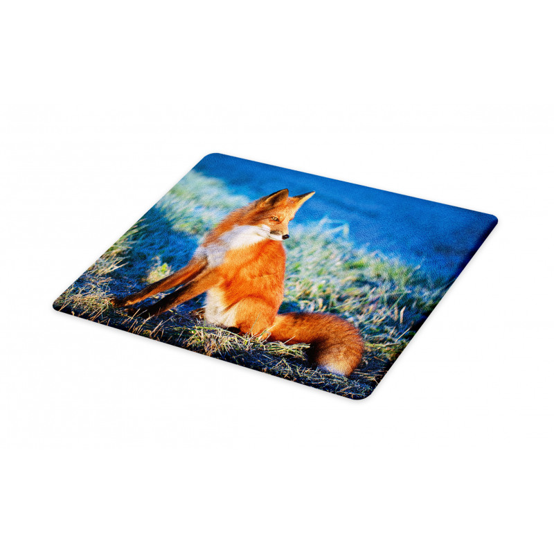 Serene Cold Autumn Field Cutting Board