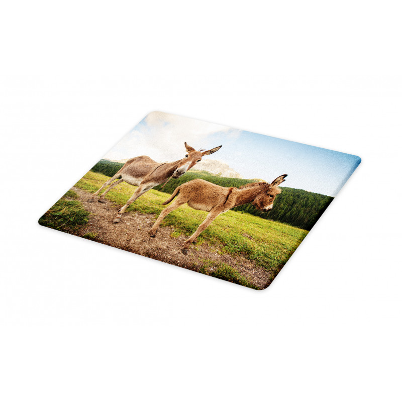 Dolomites Italy Countryside Cutting Board