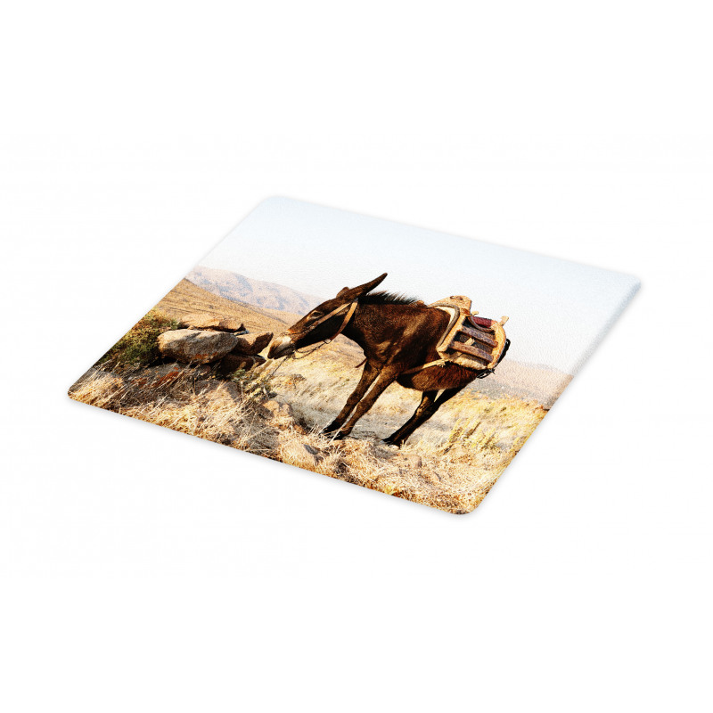 Greek Donkey in Mountains Cutting Board