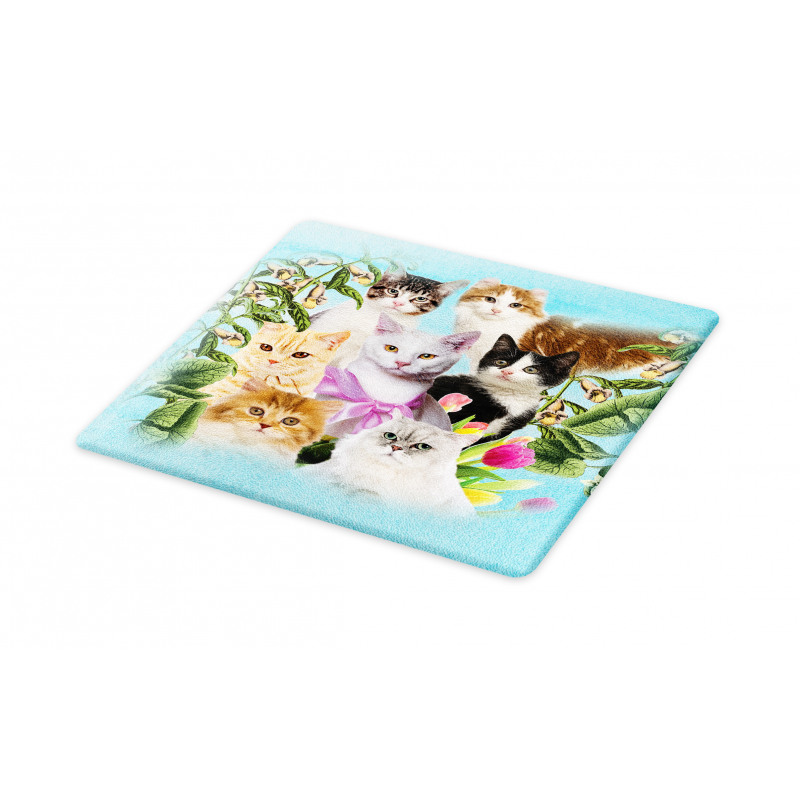 Cats Feline Domestic Cutting Board