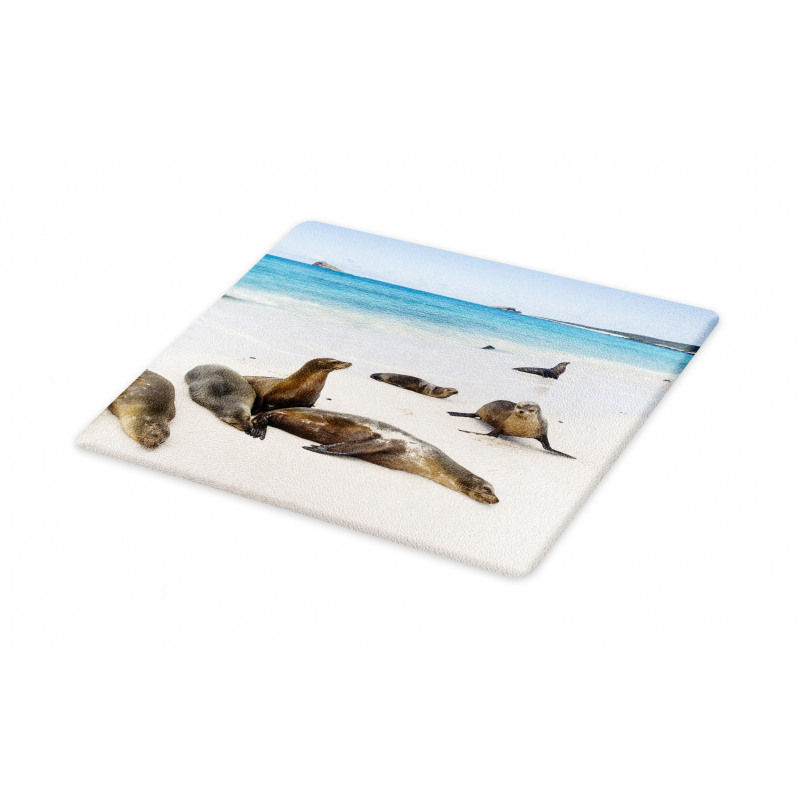 Galapagos Island Sea Lions Cutting Board