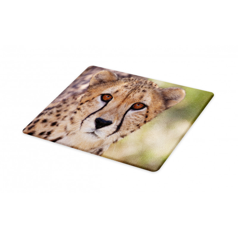 Close up Image of Cheetah Cutting Board