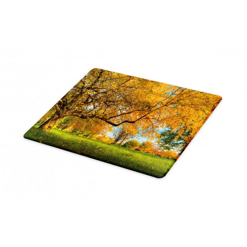 Tree Branches Blue Sky Cutting Board