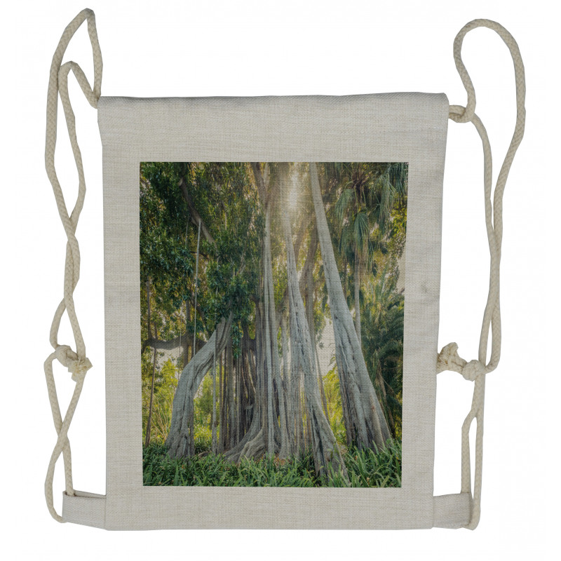 Giant Ficus Trunk Sunbeams Drawstring Backpack