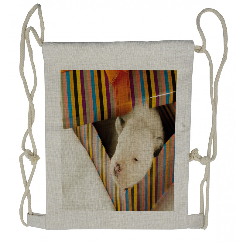 Newborn Dog in Gift Box Photo Drawstring Backpack