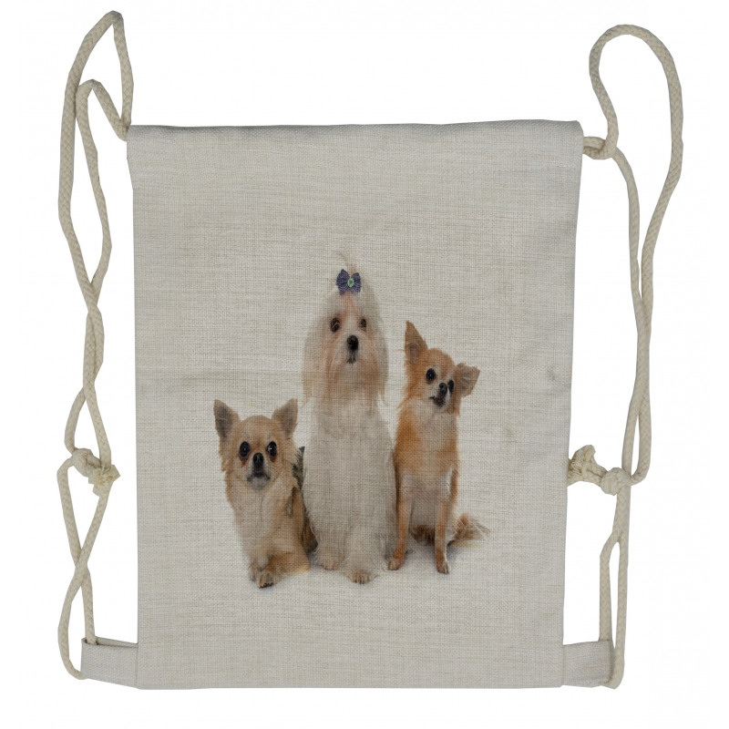 Chihuahua and Maltese Dogs Drawstring Backpack