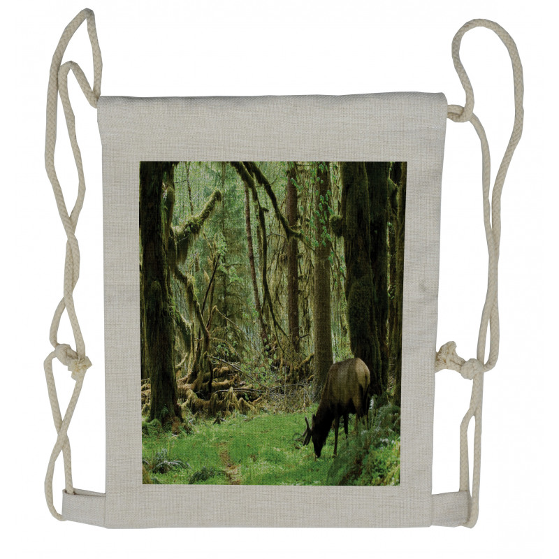 Roosevelt Elk in Park Drawstring Backpack