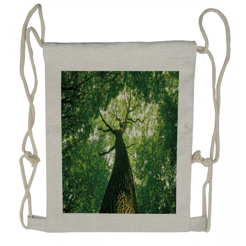 Leaves Tree Branches Drawstring Backpack