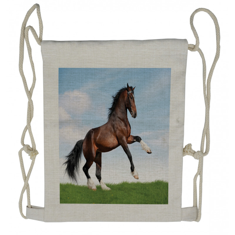 Horse Pacing on Grass Drawstring Backpack