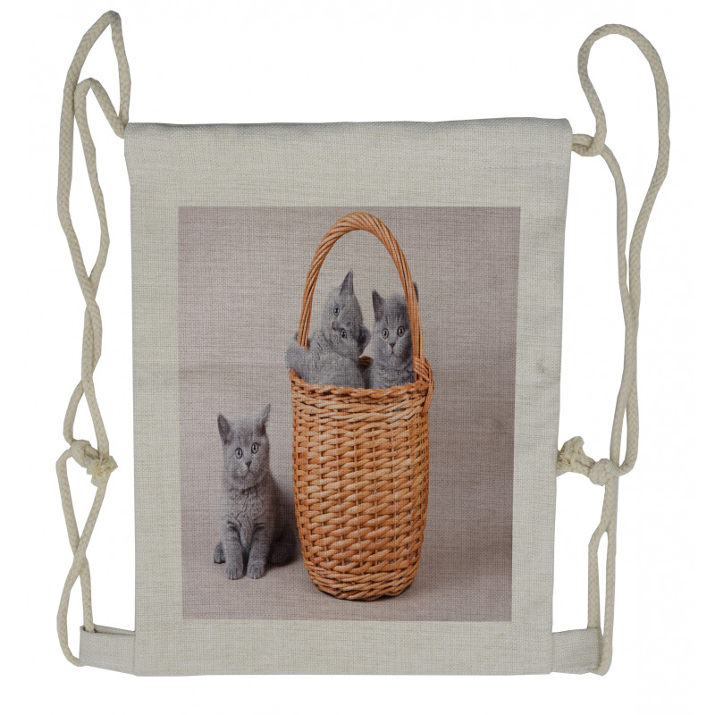 British Cats in Basket Drawstring Backpack