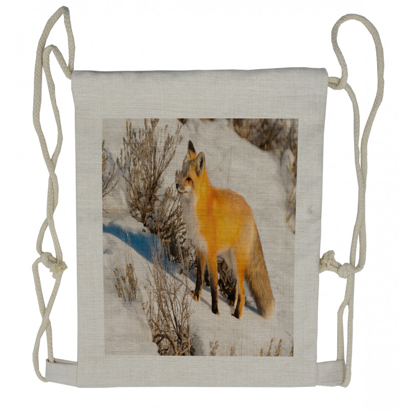 Red Fox in Snowy Nature Drawstring Backpack