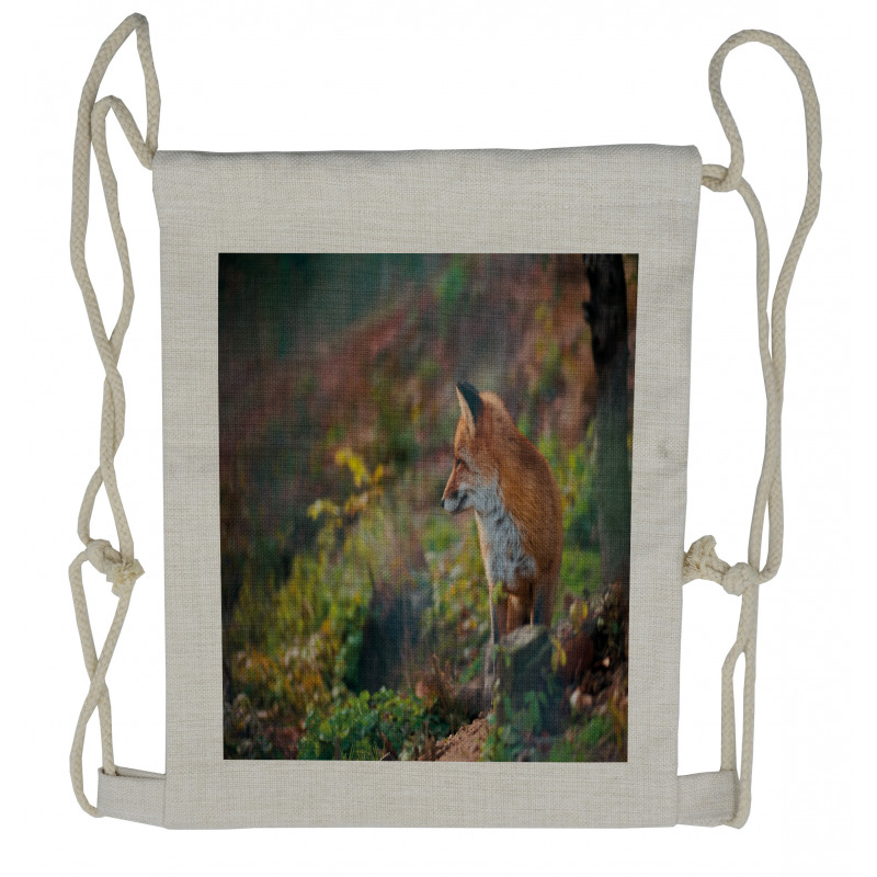 Young Wild Fox in Woodland Drawstring Backpack