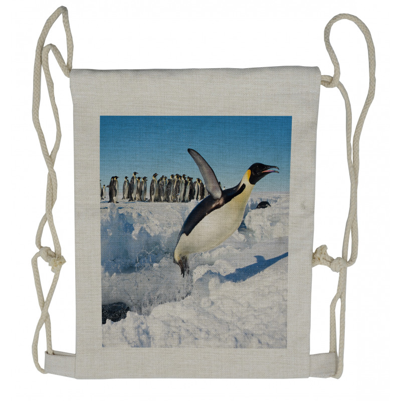 Detailed Arctic Photo Drawstring Backpack