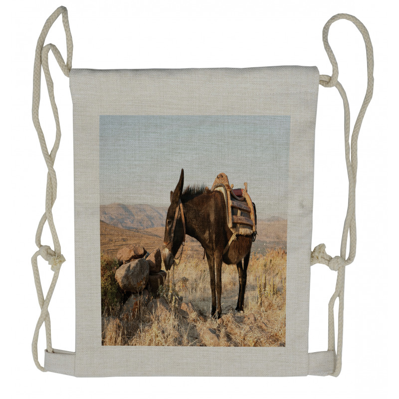 Greek Donkey in Mountains Drawstring Backpack