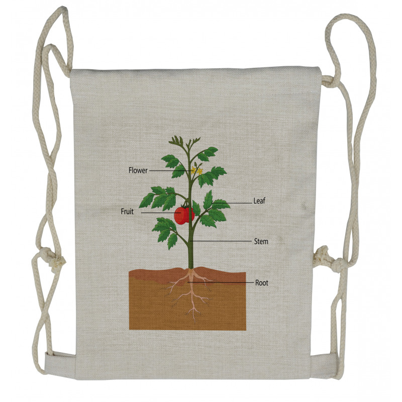 Parts of a Tomato Plant Drawstring Backpack