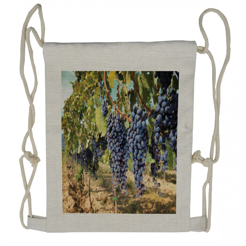 Rows of Wine Fruits in Italy Drawstring Backpack