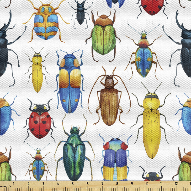 Böcekler Parça Kumaş Farklı Çeşit Kabukları Olan Hayvanlar