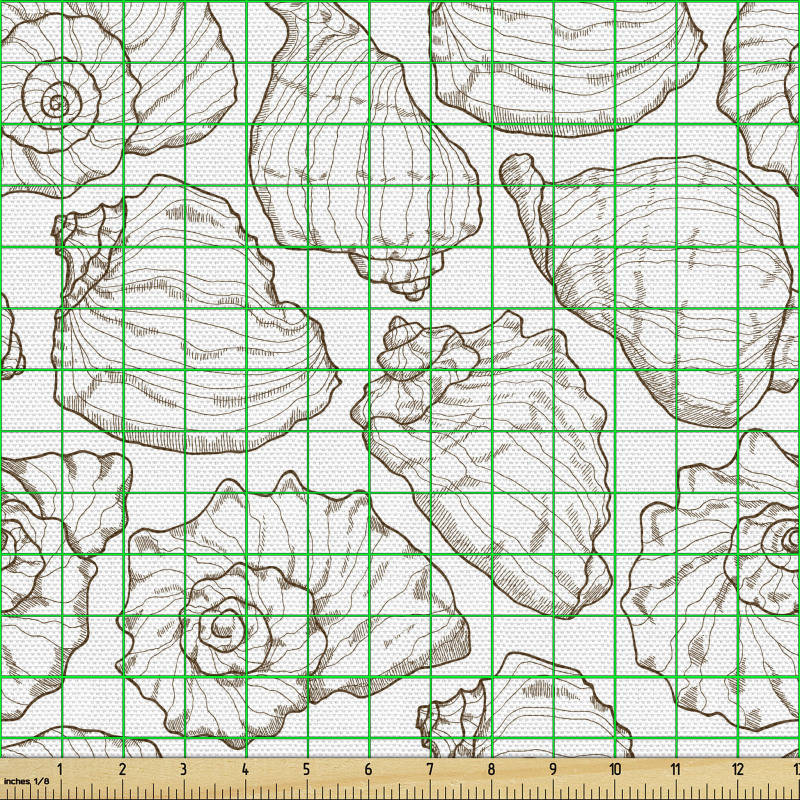 Antika Parça Kumaş Detaylı ve Zarif Deniz Kabukları Çizimi