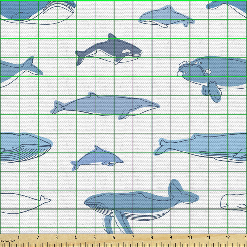 Balina Parça Kumaş Farklı Çeşit Okyanusların Büyük Hayvanı
