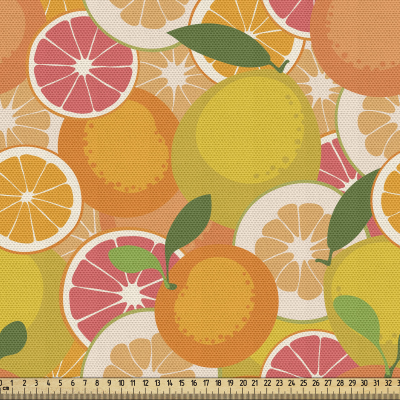 Sağlıklı Parça Kumaş Limon Portakal ve Dilimlerinin Karikatürü