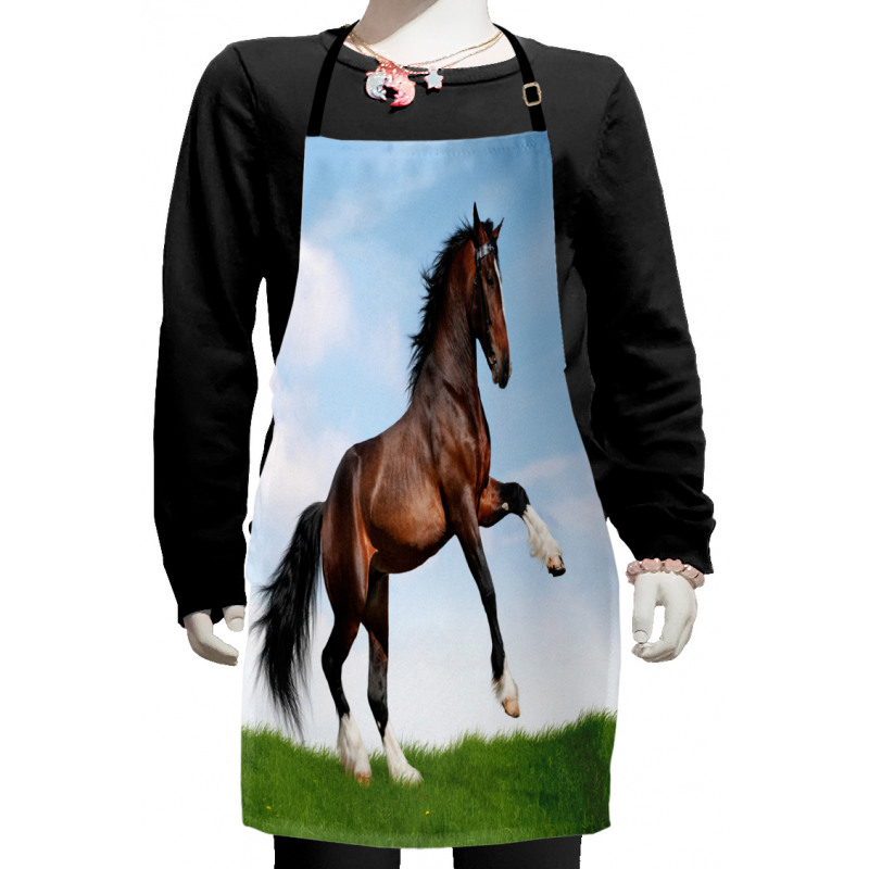 Horse Pacing on Grass Kids Apron