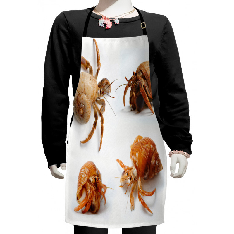 Hermit Crabs Pattern Kids Apron