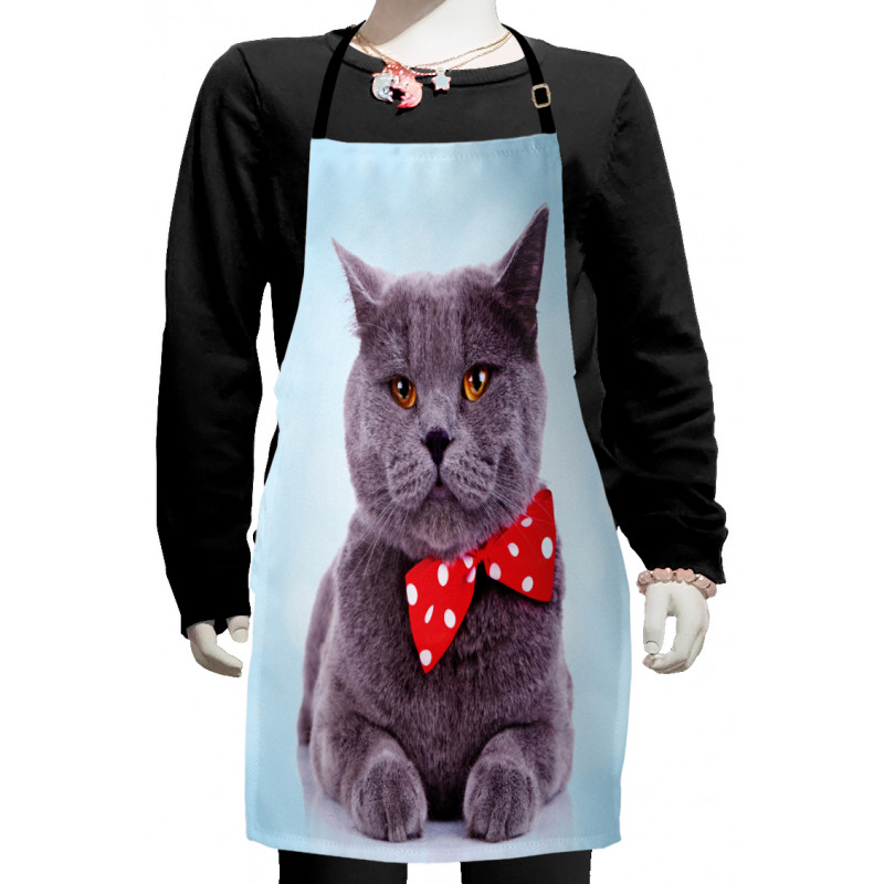 Grey Scottish Fold Theme Kids Apron