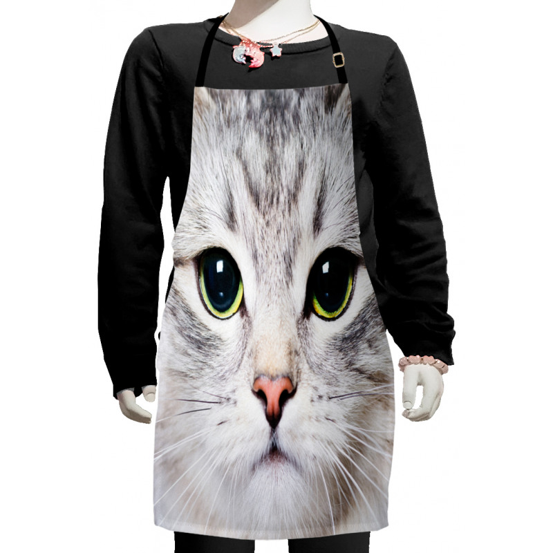 Face of a Domestic Kitty Kids Apron