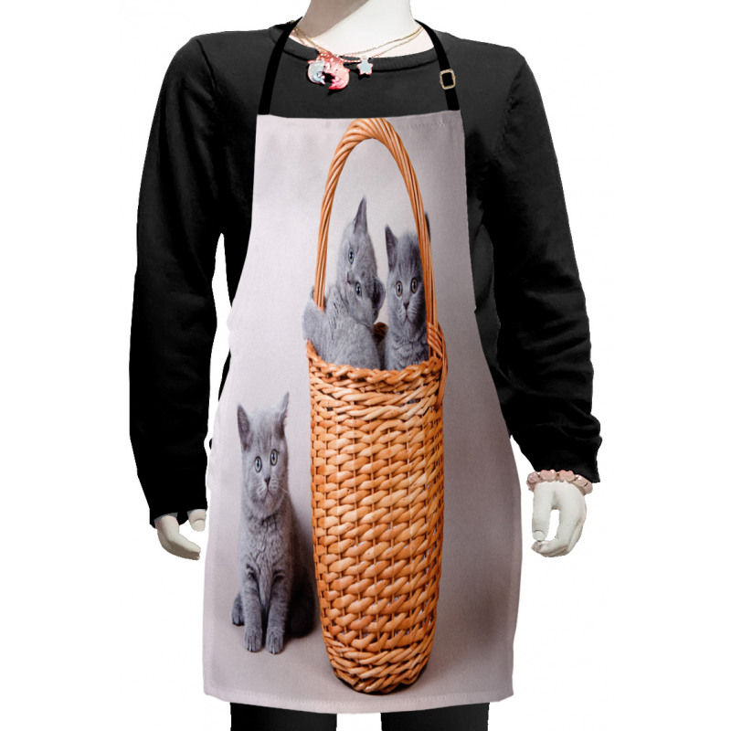 British Cats in Basket Kids Apron