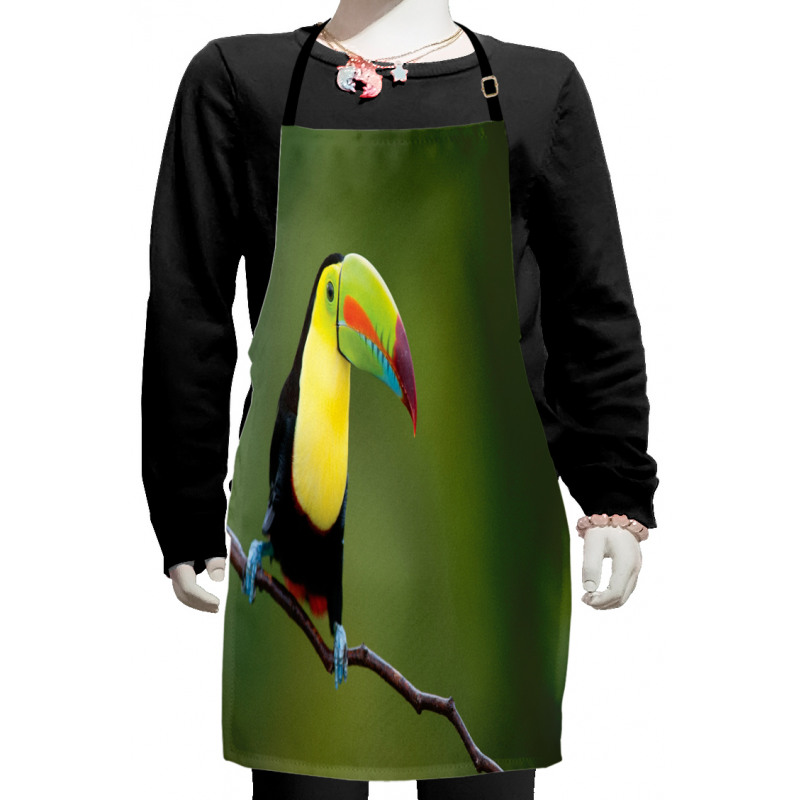 Keel Billed Toucan Kids Apron