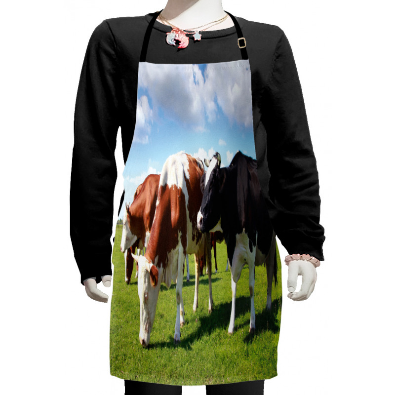 Cows Grazing on Pasture Kids Apron