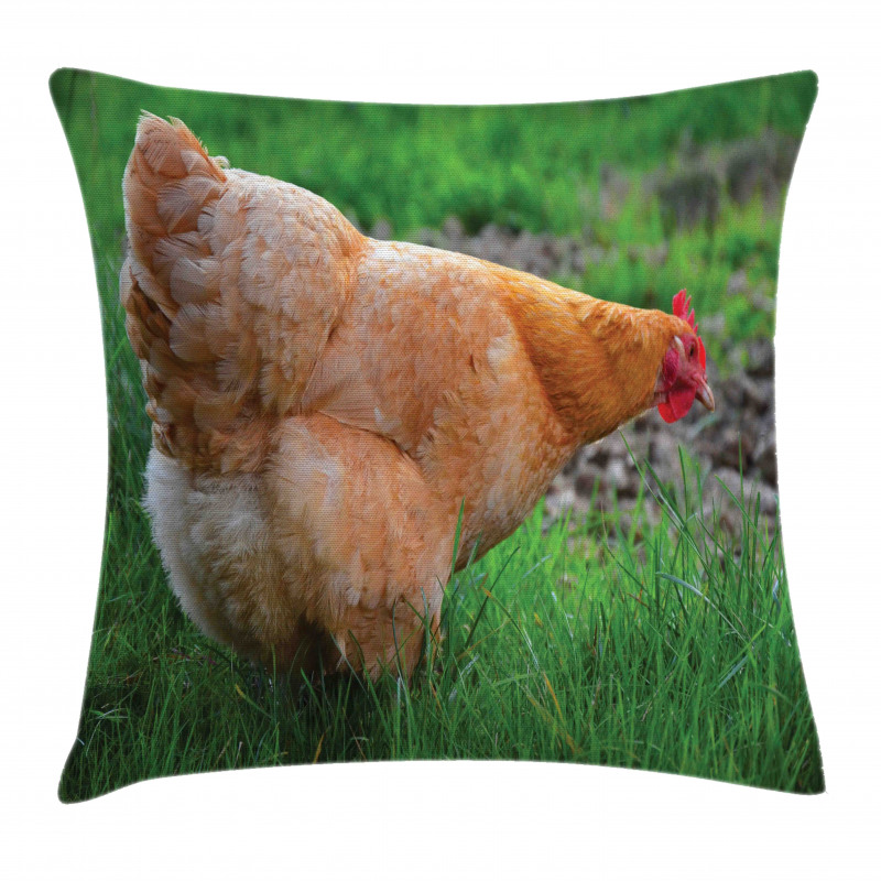 Chicken on Grass Farm Photo Pillow Cover