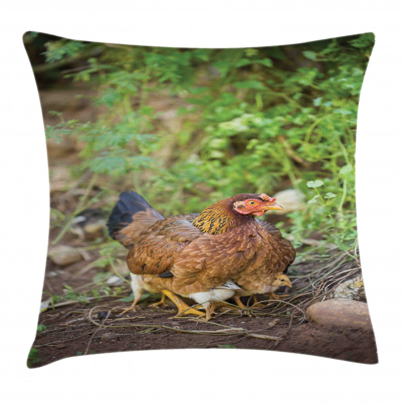 Chicken on Babies Pillow Cover